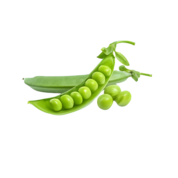 Biologische erwteneiwit - ingrediënt van Protein Beyuna -Purity by Nature